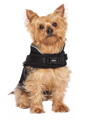 2-in-1 Dog Harness Puffer Jacket