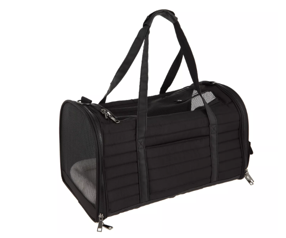 Travel Airline Carrier